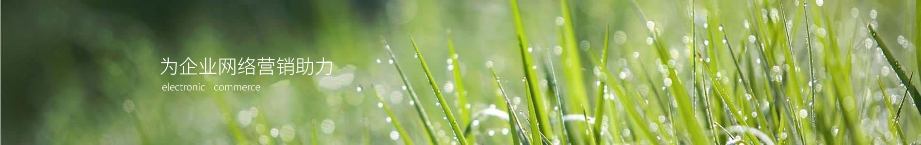 ̫ԭС-ֳ